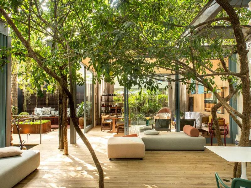 Arquitetura das árvores: explore esse encontro em CASACOR